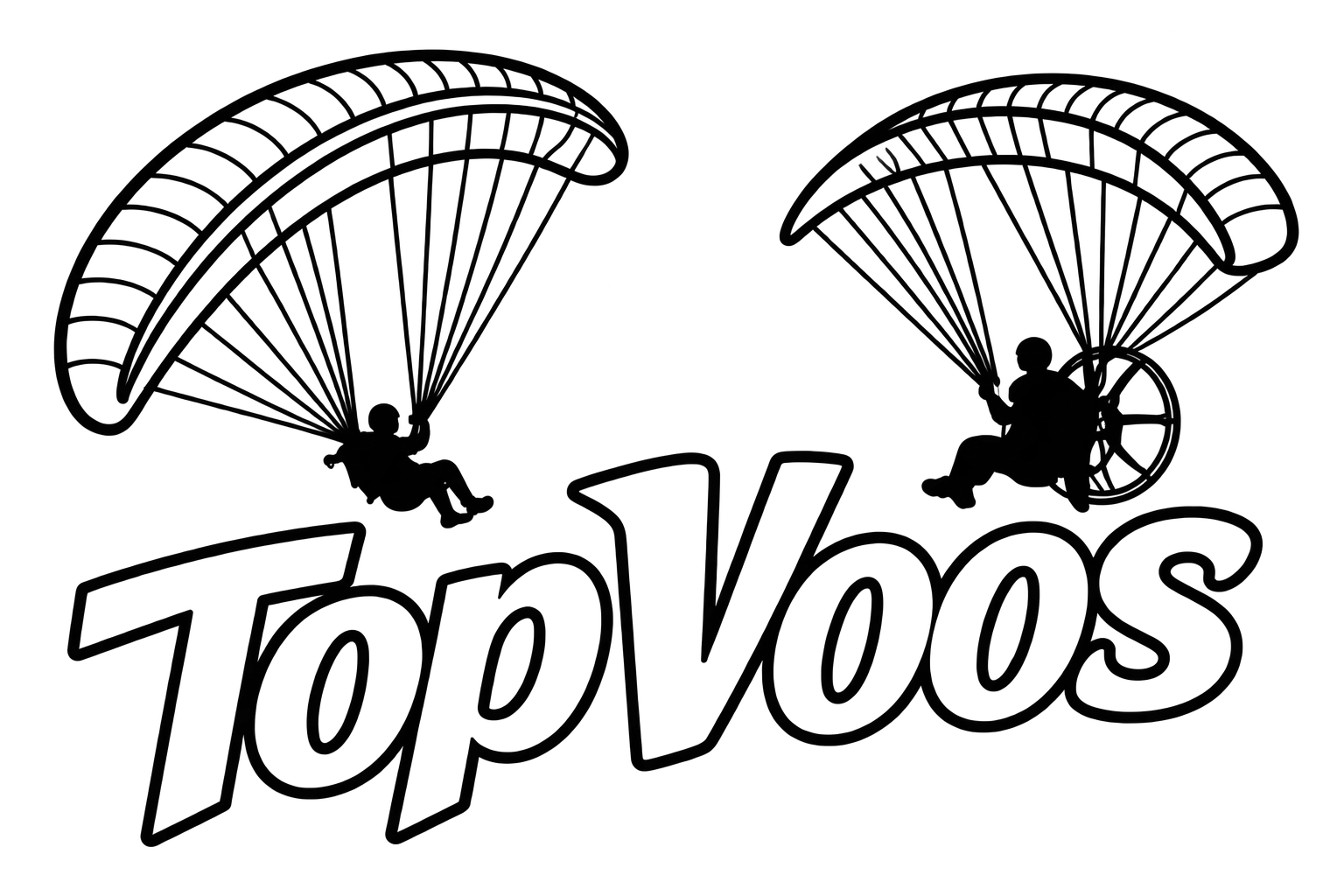 TopVoos
